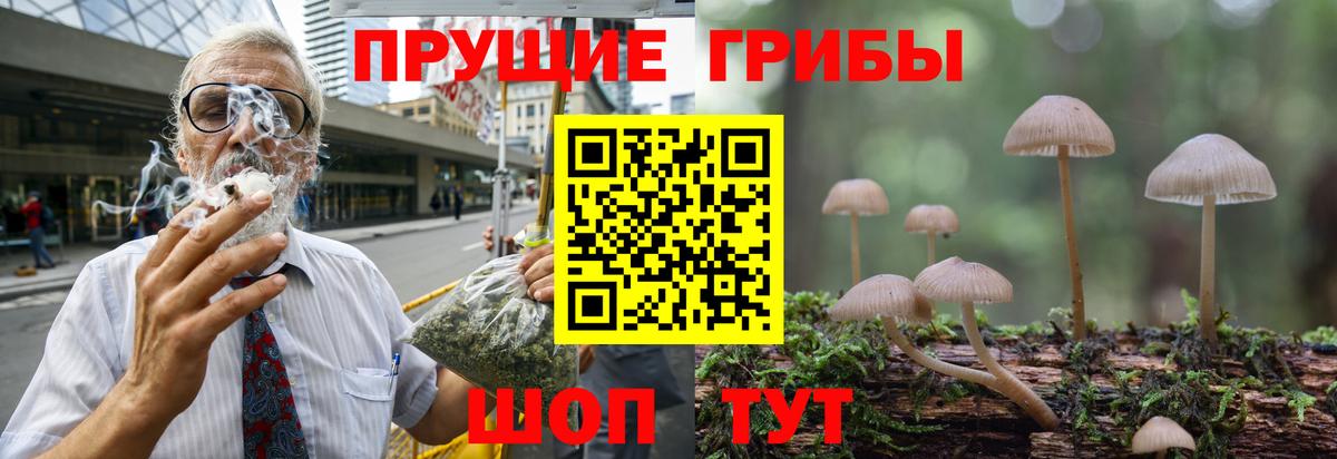 Псилоцибиновые грибы Psilocybe  Вход с VPN  Сызрань 