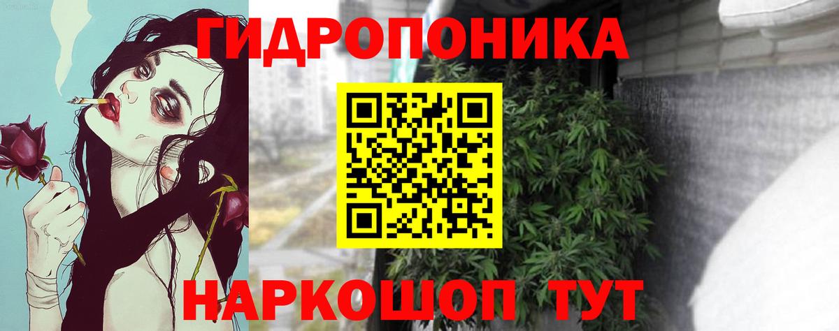 Шишки марихуана сатива Сызрань